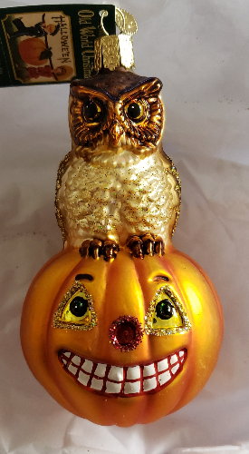 Owl on Pumpkin