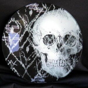 Ghoulish Skull Glass Plate B&W