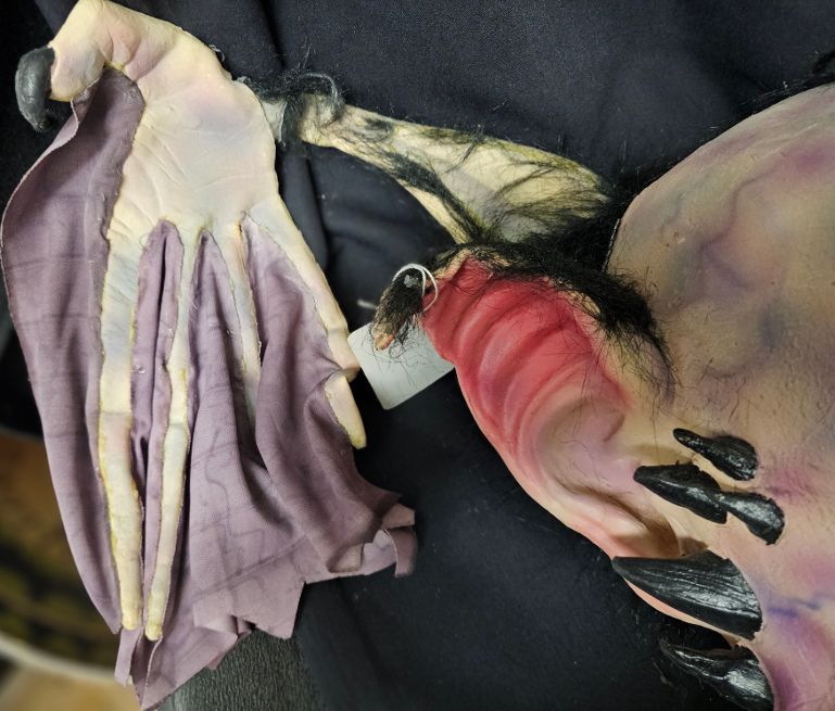 Bump in the Night Bat Winged Vampire Skull Latex Display 4 Bump in the Night Bat Winged Vampire Skull Latex Display - Image 4