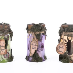 Katherine's Collection Broomstick Acres Potion Jars Assortment of 3