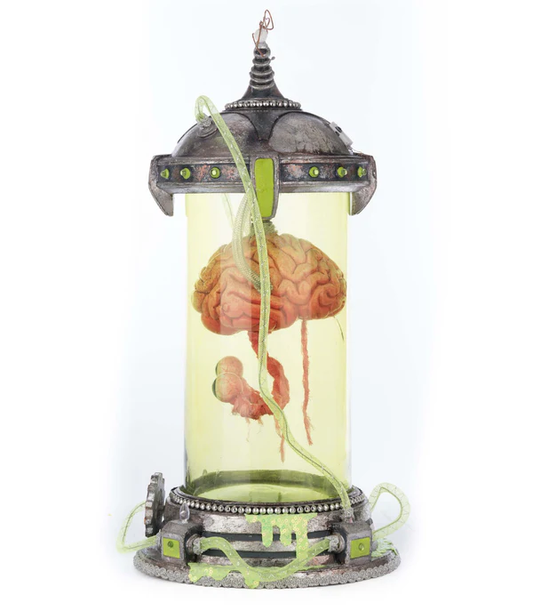 Katherine's Collection Marvin the Brain in Cloche 4 Katherine's Collection Marvin the Brain in Cloche - Image 4