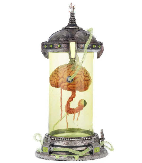 Katherine's Collection Marvin the Brain in Cloche 5 Katherine's Collection Marvin the Brain in Cloche - Image 5