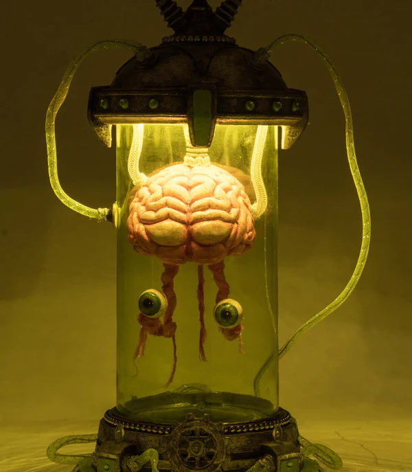 Katherine's Collection Marvin the Brain in Cloche 2 Katherine's Collection Marvin the Brain in Cloche - Image 2